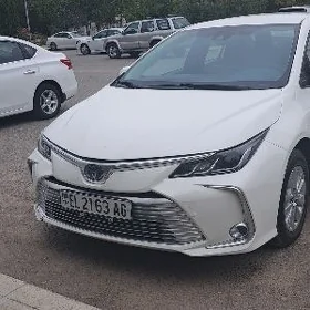 Toyota Corolla 2021