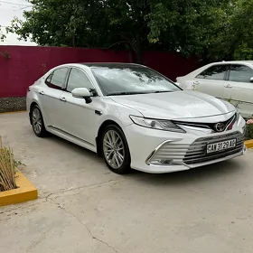 Toyota Camry 2019