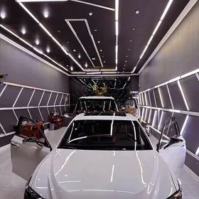 Lexus ES 250 2021