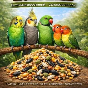 для птиц попугай