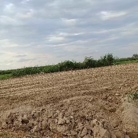 ucaska satiladi