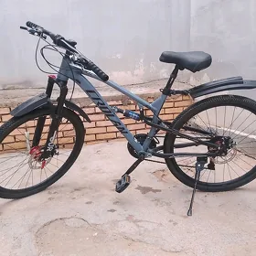 Tigir