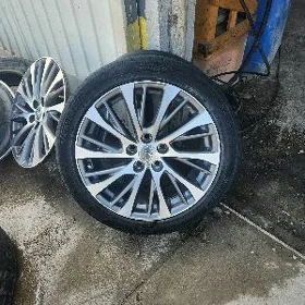 dysga 18 lik leksus 20 yyl