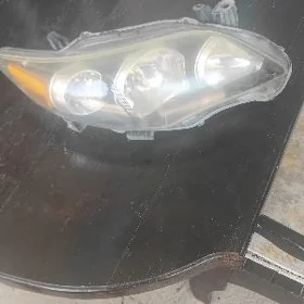 carolla cyra