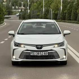 Toyota Corolla 2023