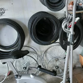 tyrnyjor tigir gulyali islye