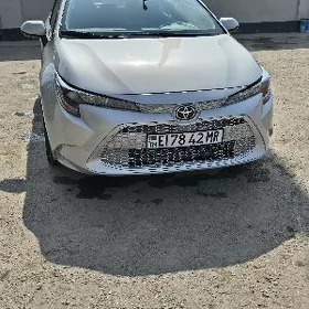 Toyota Corolla 2021