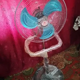 Uly wintelyator taze paket dur