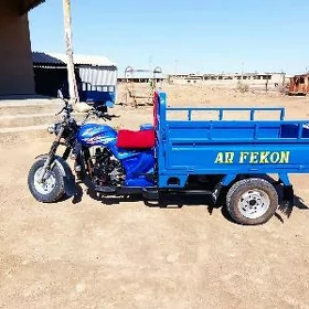 Fekon FK150-8G 2015