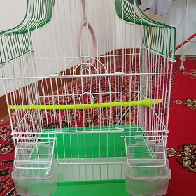 Papugay Kletka
