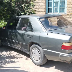 Mercedes-Benz W123 1991