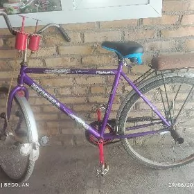 ural velsepit