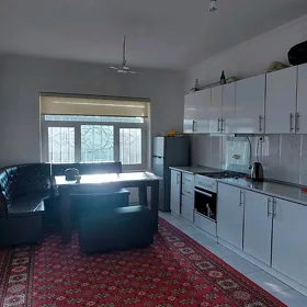 Arenda kateş