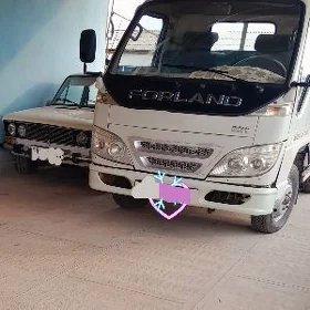 Forland H2 2010