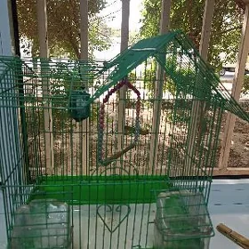 Клетка для попугая