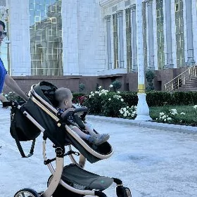 Детская коляска Kidilo