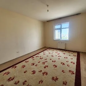 Arenda Mir8 4kom