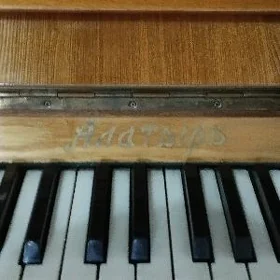 Pionina Алатырь.
