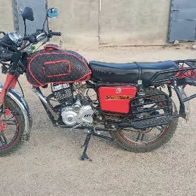 Fekon FK200-14G 2026
