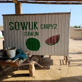 sowadyjy