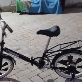 kama 20lik