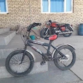 tigir