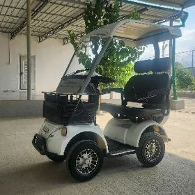 Mini bus