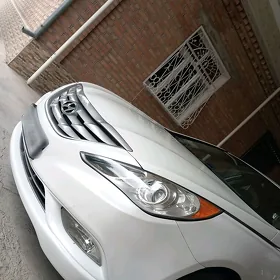 Hyundai Sonata 2010
