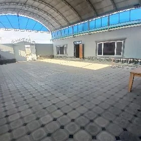 ️ COGANLY PLAN   ️ Full