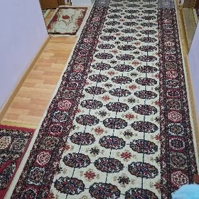 haly turkunki