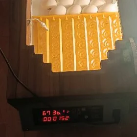 inkubator 200