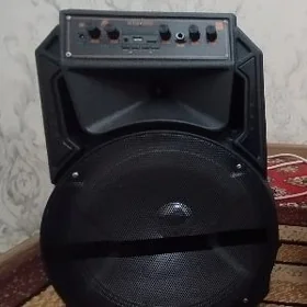 БЛЕТУЗ  КОЛОНКА