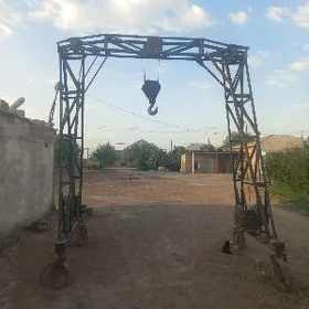 kyran tal