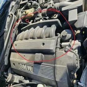 pavuk sbor e34 e36