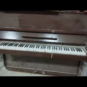 pianino