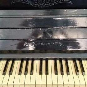 Piano Piyanina Fortepiano