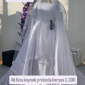 fata koynekler