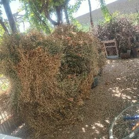 ЕРУНЖА