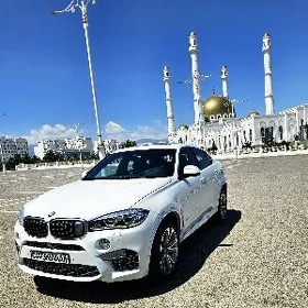 BMW X6 2019
