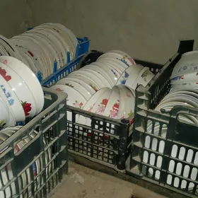 pasuda(Gap çanaklar)