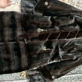 şuba