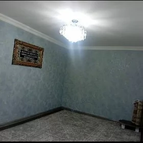 änew güneş