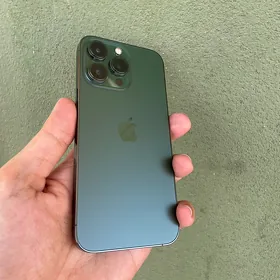 13 pro