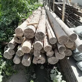 druçka agac