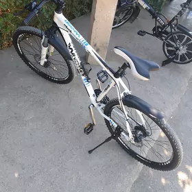 tigir 26 lyk arginal