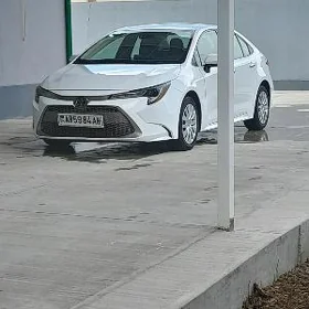 Toyota Corolla 2021