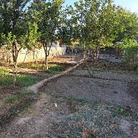 Daça