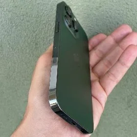 13 pro