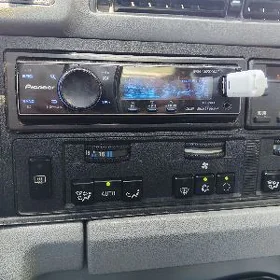 pioneer delfin