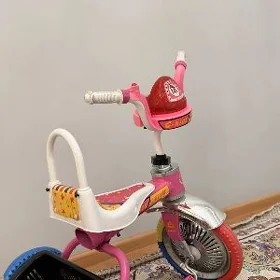 çaga tigir